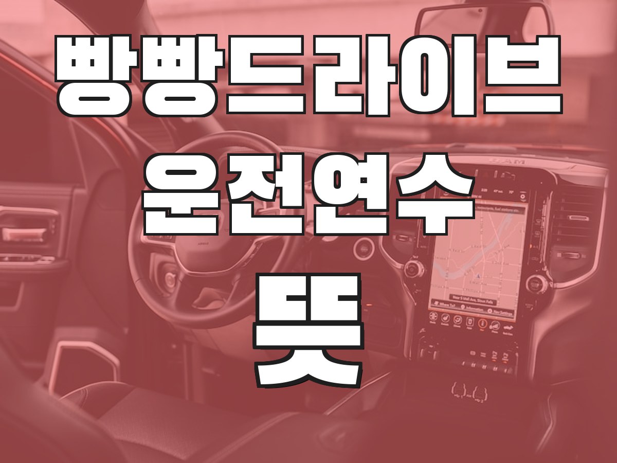 빵빵드라이브 운전연수 뜻 - 운전연수의 의미와 필요성
